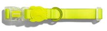 Cargar imagen en el visor de la galería, "Collar para perros Zee.Dog NeoPro Lime talla S color verde neón impermeable con recubrimiento de caucho protector y hebilla de seguridad - La Mascotería de Andrea"