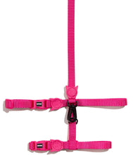 Cargar imagen en el visor de la galería, "Set de arnés y correa para gatos Zee.Cat Pink LED color rosado neón con cierre de seguridad de 4 puntos y ajuste regulable - La Mascotería de Andrea"