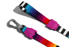 Cargar imagen en el visor de la galería, "Correa para perros Zee.Dog Prisma talla S con diseño geométrico de colores, poliéster de alta resistencia y mosquetón ligero de seguridad - La Mascotería de Andrea"