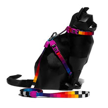 Cargar imagen en el visor de la galería, "Set de arnés y correa para gatos Zee.Cat Prisma color negro con diseño de calaveras ajustable y cierre de seguridad de 4 puntos - La Mascotería de Andrea"