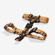 Cargar imagen en el visor de la galería, Arnés para perro Zee.Dog tipo H, modelo Bossa Banana, estampado de plátanos sobre fondo azul, talla XS."
