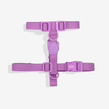 Cargar imagen en el visor de la galería, ZeeDog Neopro Ultra Violet H-Harness M
