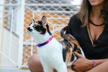 Cargar imagen en el visor de la galería, "Set de arnés y correa para gatos Zee.Cat Prisma color negro con diseño de calaveras ajustable y cierre de seguridad de 4 puntos - La Mascotería de Andrea"
