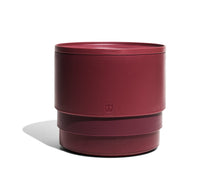 Cargar imagen en el visor de la galería, Z"Plato para perros de acero inoxidable Zee.Dog Tuff Bowl Bordeau color burdeos antideslizante y de alta resistencia - La Mascotería de Andrea"
