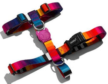 Cargar imagen en el visor de la galería, "Arnés tipo H para perro Zee.Dog Prisma talla S con diseño geométrico multicolor, pechera ajustable de poliéster de alta resistencia y cierre de seguridad de 4 puntos - La Mascotería de Andrea"
