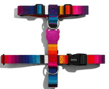 Cargar imagen en el visor de la galería, "Arnés tipo H para perro Zee.Dog Prisma talla S con diseño geométrico multicolor, pechera ajustable de poliéster de alta resistencia y cierre de seguridad de 4 puntos - La Mascotería de Andrea"
